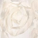 Wuiyepo 100 * 130cm Baby-Fotografie Prop Rose Background Blanket - 5