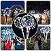 Produktbild FeiliandaJJ 2/5/8pcs 3M Lichterkette 30 Sterne LED Ballon Transparente Glühende Laterne Tube mit Glühenden Luftballons Wiederverwendbare Dekorations Festivals Partys Hochzeiten (8pcs)