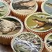 Produktbild 24 Kuchen Topper 4 cm auf Zuckerguss Cupcake Bilder – Krokodil Reptilien