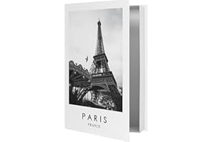 Gxdamxz Fake Bücher, Buchattrappe Deko Desktop mit öFfnungsfunktion für Aufbewahrung - GXIND027-E