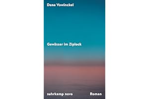 Gewässer im Ziplock: Roman | Ein mitreißendes Porträt jüdischen Familienlebens heute | Ein Sommer zwischen Berlin, Chicago und Jerusalem