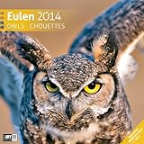 Image de Eulen 2014 Art12 Collection: Broschürenkalender. Inlusive 10 beliebig oft verschiebaren Markern