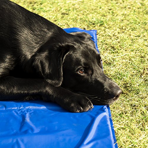 Navaris Tappeto Rinfrescante Per Cani Gatti Tappetino