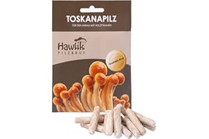 Hawlik Pilzbrut I el original I Seta Nameko como espiga semilla con micelios para crecer a ti mismo | juego de niños para cultivar setas frescas en troncos