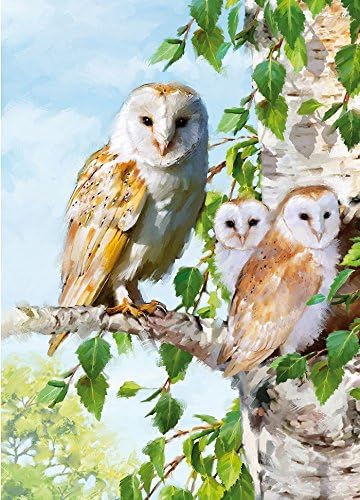 Family Of Owls - Greetings Card 10455 (Happy Birthday)