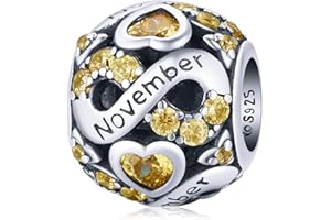 Shining Charm Christmas Valentines Birthstone Charms for Bracelets 925 Sterling Silver Infinity and Heart Bead Charm Jewellery Happy Birthday Gifts for Women Girls