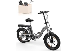 HITWAY E-Bike Bicicletta Elettrica 20 Pollice Fat Tire Bicicletta Pieghevole Bicicletta Elettrica, 250W/36V/12 Ah Batteria, Max.Electric chilometraggio può raggiungere 35-90 km