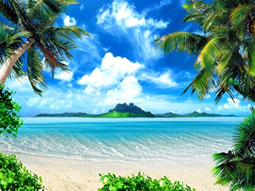 Fototapete Tapete Palmen Insel Meer Strand Poster Foto 127 x 180 cm