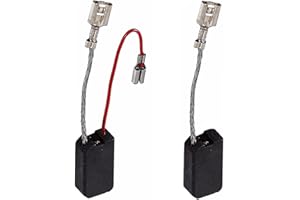 BRICOAMIGO - Escobillas de carbón compatible con HILTI TE54 / TE 55 / TE 15-C/TE 35 / TE 18 M/TE 504 / TE 505 - (6,3x10x19) Compatible