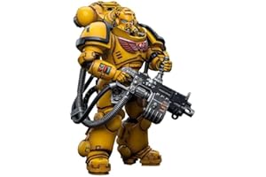 YIZRIO Bloomage Joytoy Tech - Joytoy Warhammer 40,000 - Imperial Fists Heavy Intercessors 01 1/18 Figure (Net)