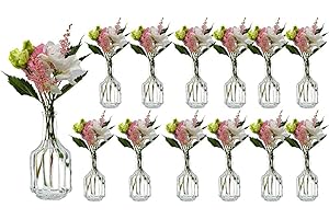 Casavetro - Jarrones pequeños de Cristal HALSI, Botellas de Cristal, Estilo rústico, Vintage, jarrón de Cristal, Transparente, Mini Botellas Decorativas (6,12), 12 Unidades