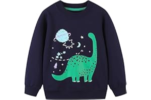 Koonde Boys Dinosaur Jumper Cotton Top Truck Sweatshirt Long Sleeve Tee for Kids Toddler Clothes 1.5-7 years