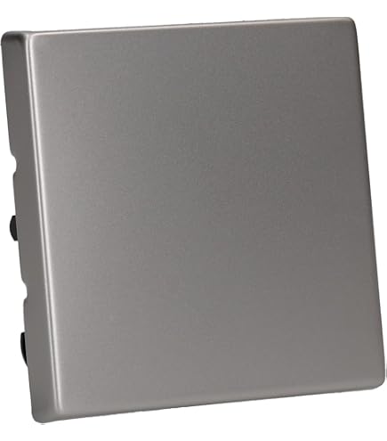 Busch-Jaeger 20 EUC-866, Modulo Presa Schuko Da Incasso, Colore Acciaio Inox Anti-impronta. 16A, 250V, 2 Poli + Terra.