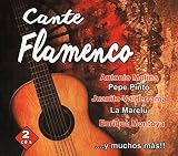 Cante flamenco