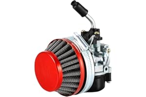 DWEEKIY Racing bike engine kit carb Carburetor, Racing Carburetor for 2 Stroke Engine Motorized ATV Quad