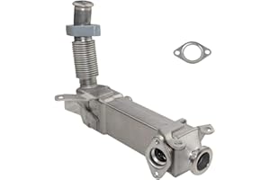 SCSN Enfriador de válvula EGR 11717790065 7790065