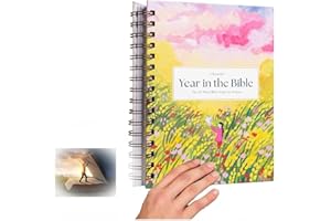 HINNVCL Une belle année dans la Bible, 52 semaines d'étude biblique pour les femmes, ce voyage guidé des Écritures aide les femmes à approfondir leur foi avec des lectures et des réflexions hebdomadaires