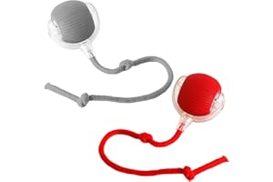 DUBBULON 2Uds Juguete Interactivo para Gatos - Bola Giratoria Automática Activada por Movimiento | Juguete Eléctrico con Cuerda Larga | Type-C Recargable