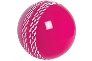 Gray-Nicolls The Velocity Balle de cricket