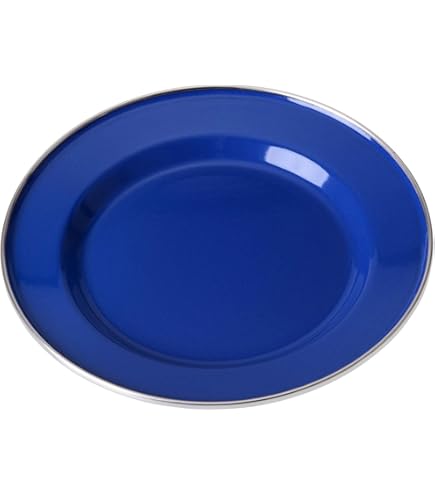 Crow Canyon Home Ovale Servierplatte Aus Emaille | Spülmaschinenfest, Rustikales Design – Perfekt Für Drinnen & Draußen