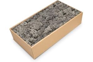 NaDeco Islandmoos in Natur und 30 weiteren Farben zur Auswahl | Deko-Moos | Rentier-Moos | Reendier Moos | Bastel-Moos | Dekomoos | Moos-Deko, Farbe:Anthrazit