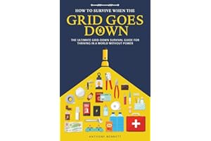 How to Survive When the Grid Goes Down: The Ultimate Grid-Down Survival Guide For Thriving in a World Without Power: 2 (Self-Sufficient Living)