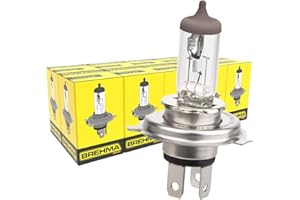 10x BREHMA H4 Halogen Lampe 12 Volt 60/55 Watt P43t