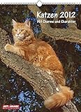 Katzen 2012 Posterkalender by