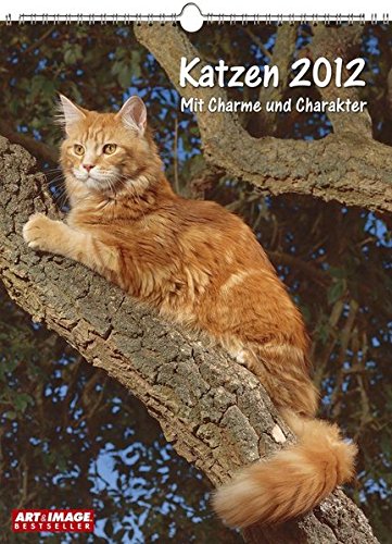 Katzen 2012 Posterkalender