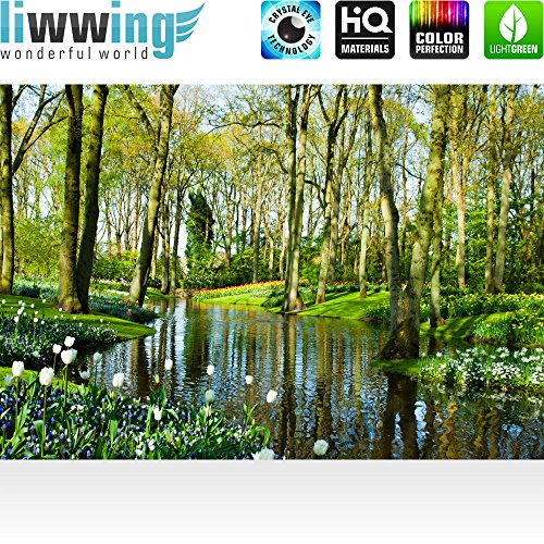 Vlies Fototapete 350×245 cm – Top ! PREMIUM PLUS Foto Tapete ! Wandbilder XXL Wandbild Bild Fototapeten Tapeten Wandtapete Wanddeko Wand Wald Bäume Natur – no. 256 - 2