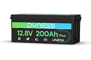Dyness Batterie Lithium 12V 200Ah LiFePO4 avec BMS 200A intégré et Protection Basse Température, 2560Wh pour Camping-Car/Marin à Décharge Profonde, Solaire, Aventure/Van, Hors-Réseau