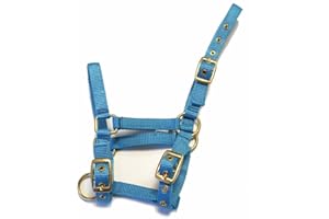 Rhinegold Collar de Nylon Potro