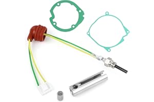 WOYADA Kit de calefacción diésel de 12 V, 3 kW, 5 kw, 8 kw, accesorio para bujía incandescente de cerámica, repuesto para calefacción de estacionamiento, para aire diésel, calefacción de aparcamiento, coche