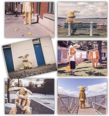 'There Will The Rabbit/Crazy Easter Cards 12 Cards A6 Envelopes White Modern Fun Design with "Task of Bunny Easter Card Blank Back