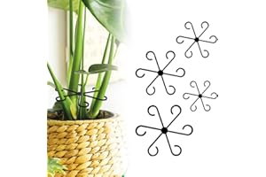AEIOPRS 4 Pcs Supporto per Piante Ganci Porta Stelo per Piante Rampicanti Clip di Supporto da Giardino per Alocasia e Monstera