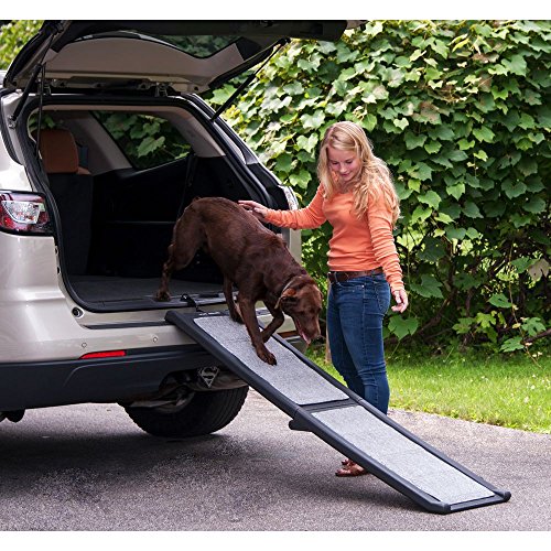 Pet-Gear-Carpeted-Ramp-Grey