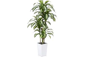 VeriNatural Artificial Dracaena Tree 180 cm - UV-Resistant Realistic Faux Large Green Plastic Fake Plant with White Taper Planter - Tall Artificial Plants for Home Garden Office Indoor Decor, VN127