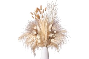 Gipizi 66 Pcs White Dried Pampas Grass Bouquet, 43cm Natural Pampas Grass Boho Home Decor, Fluffy Phragmites Bunny Tails Dried Flowers for DIY Plant, Floral Arrangements and Decorations