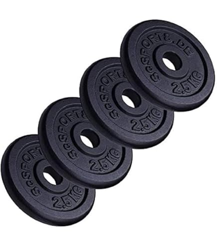 Lot De 2 Plaques De Fonte 25 Lb (total 50 Lb) - Poids Standard Troués Pour Haltères
