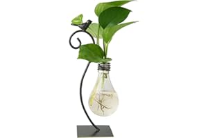 Marbrasse Fioriera da tavolo in vetro Vaso idroponico per uccelli adorabili con supporto per la decorazione domestica, uccello creativo moderno, supporto per terrario per piante di gatto