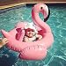 Produktbild Kompassswc Baby Kleinkinder Schwimmreifen Schwimmsitz Pool Kinderboot Aufblasbarer Schwimmring Cartoon Schwimmhilfe für Kindern 4 bis 48 Monaten (Pink Flamingo)