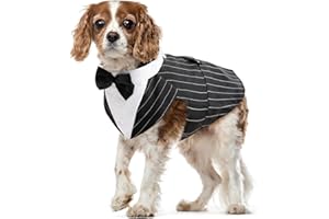 PUMYPOREITY Smoking Formel pour Chien, Set Costume e Bandana pour Mariage Shirt avec Nœud Papillon Vêtements pour Chiens Élégant Apparel Tuxedo pour Mariage Party Festival Halloween Noël(Rayé Noir, M)
