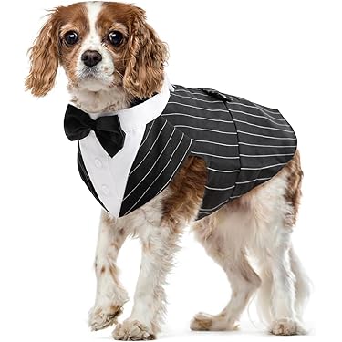 Vestito Per Cane Keysui - Abito Elegante Per Teddy E Cani Di Piccola Taglia - Foto 9