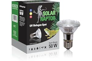 SOLAR RAPTOR Spot halogène UV - Spot chauffant pour terrarium (50 W)