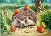 Produktbild YEESAM ART Neuerscheinungen Malen nach Zahlen für Erwachsene Kinder - delikat Dorn Igel Hedgehog 16 * 20 Zoll Leinen Segeltuch - DIY ölgemälde ölfarben Weihnachten Geschenke