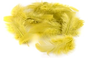 Plumes décoratives - 5 g - 5 à 10 cm - Plumes de poule, marabout - Plumes de parure Gold 687