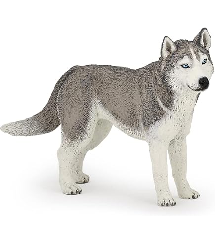 Collecta Sibirischer Husky Figur – Größe L, Naturgetreu, Handbemalt