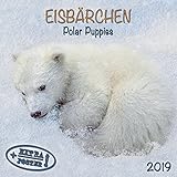 Polar Bears/Eisbärchen 2019: Kalender 2019 (Artwork Edition) by 