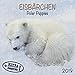 Polar Bears/Eisbärchen 2019: Kalender 2019 (Artwork Edition) by 