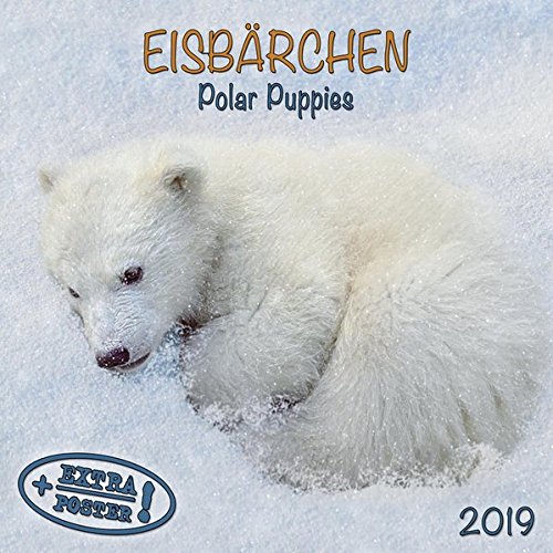 Télécharger Eisbären - Polar Bears - Ours Polaires 2019. Artwork Edition Livre PDF Gratuit